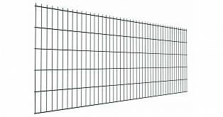 Панель 2D Bastion 5/6 1,03х2,5 RAL 6005 GL