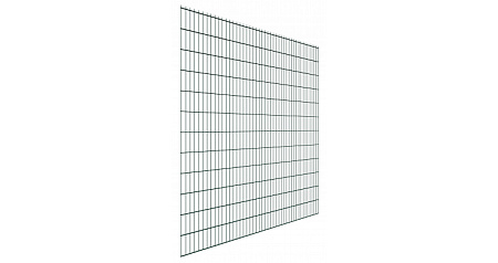 Панель 2D Bastion 5/6 2,43х2,5 RAL 6005 GL